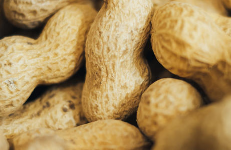 peanuts allergen