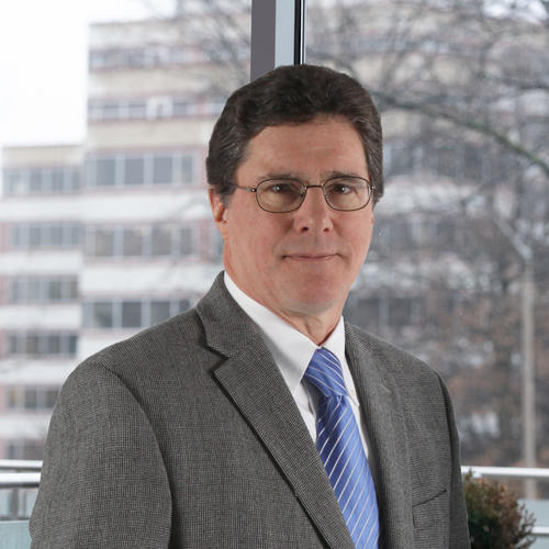 Chief Research Strategy and Innovation Officer