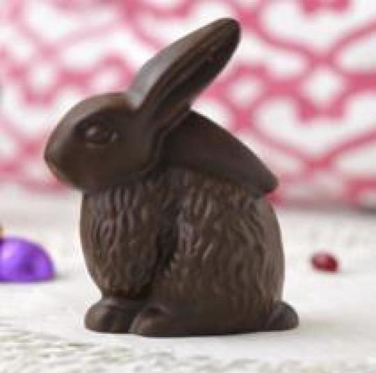 Chocolate Bunny