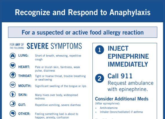Safety First Aid Group Food Allergies and Anaphylactic Shock Poster A2 Lamina... 