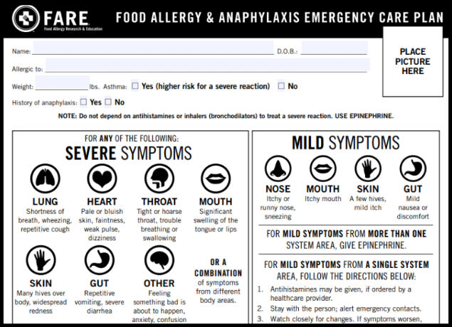 Emergency Care Plan Preview