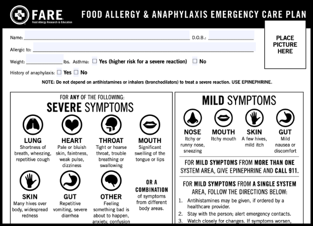 Emergency Care Plan Preview