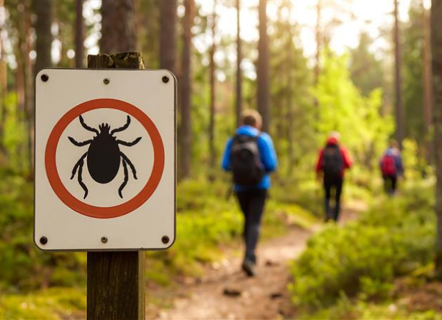 Tick sign and hikers