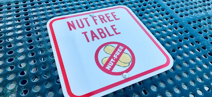 A nut-free table at an elementary school